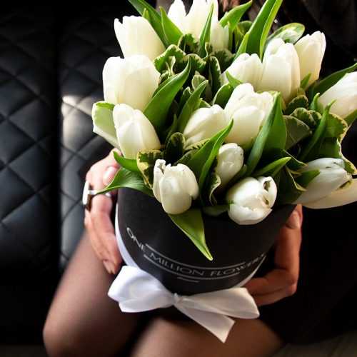 Коробка тюльпанов "Антарктика Лайт"