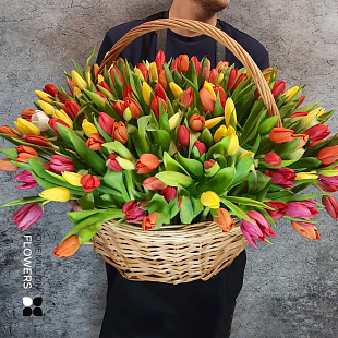 Корзина с 201 тюльпаном Микс