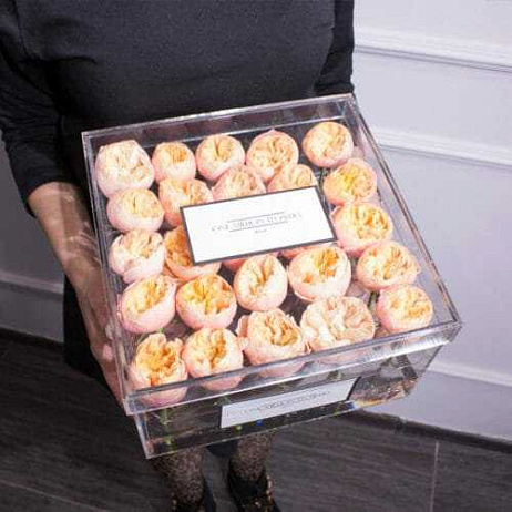 Бокс из 25 "Вувузела"