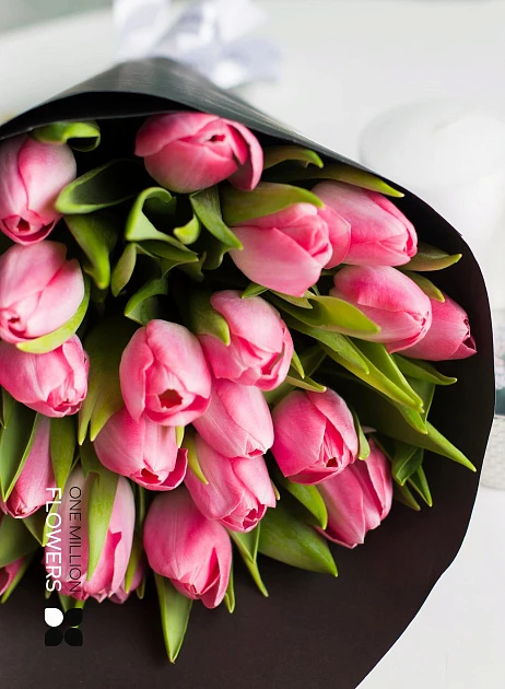 Букет 25 тюльпанов "Династия" Black