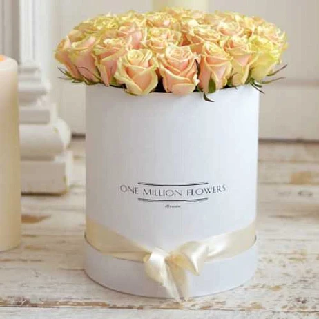 Коробка «Талеа Лайт» White - Mini