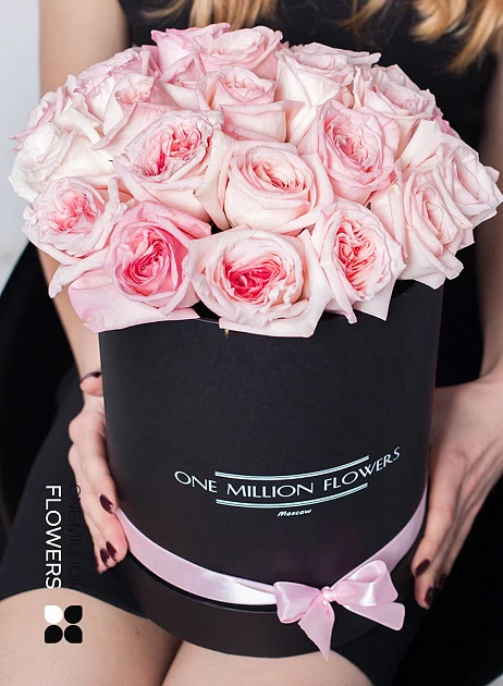 Коробка "Пинк Охара" Black - Mini